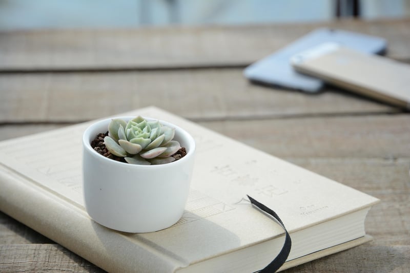 Wall-mounted Planters