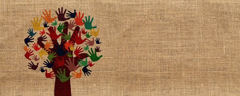 Volunteer